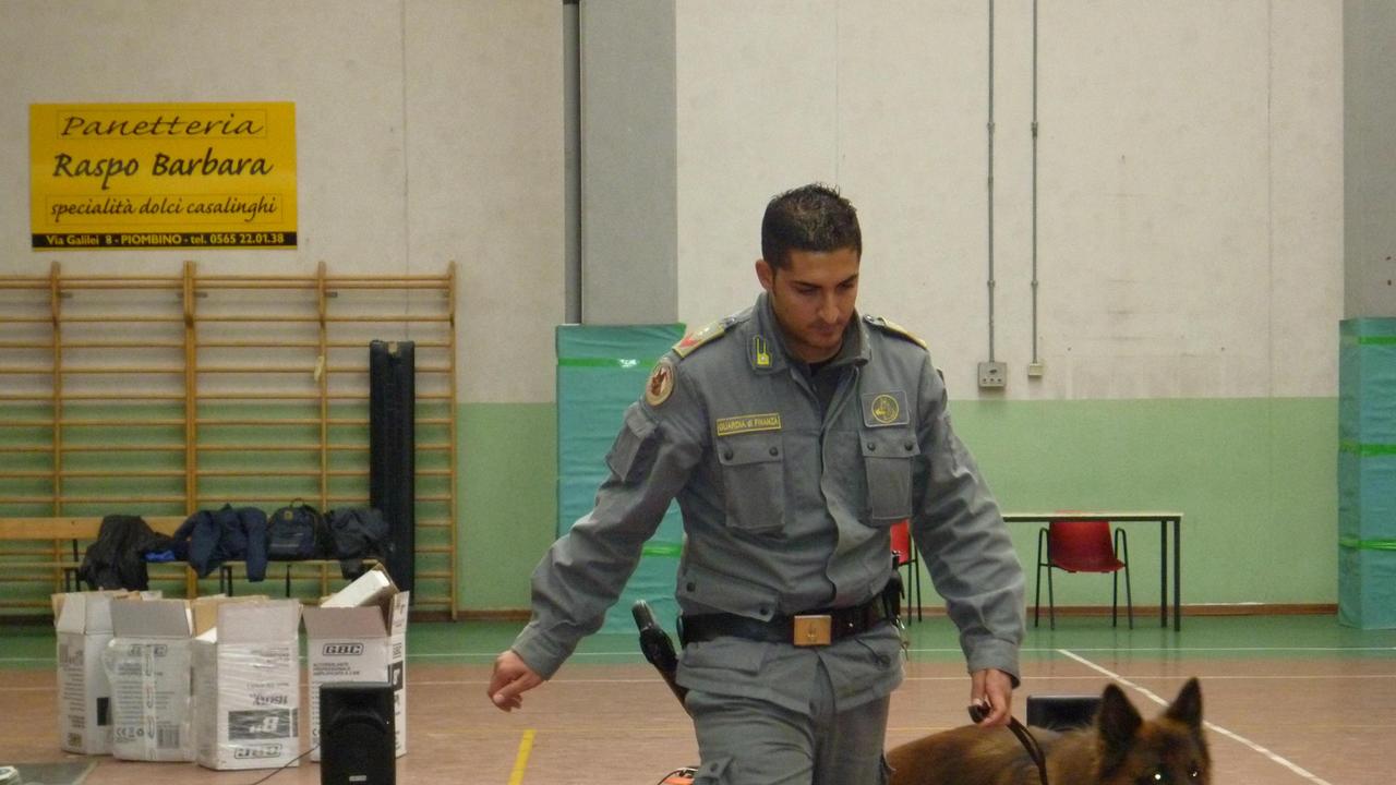 Un cane antidroga della Finanza