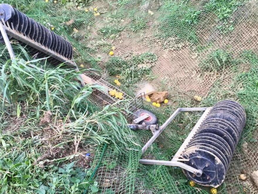 Golf cart rubata finisce nel fosso 
