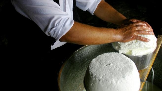 Il Consorzio “Fiore sardo” all’Expo