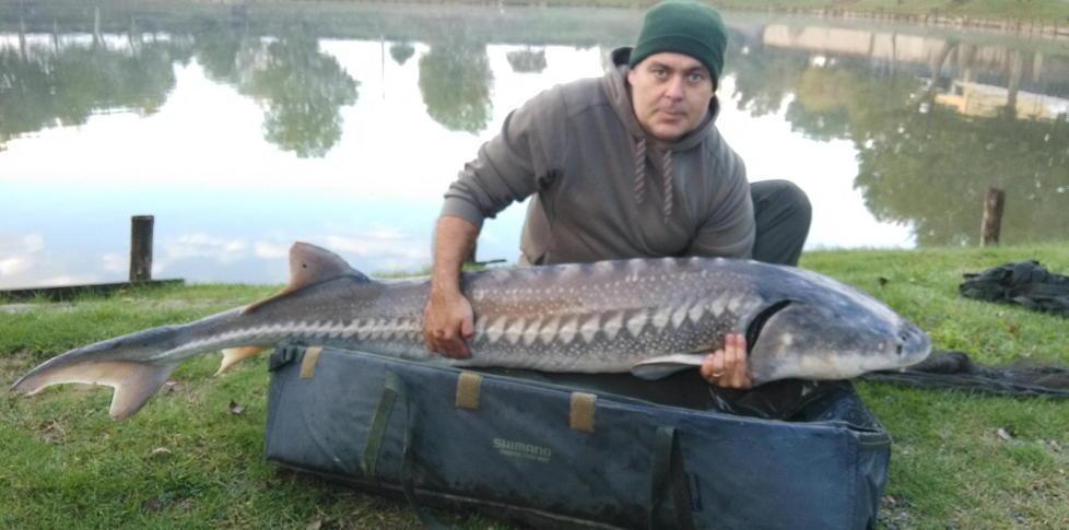 Catturato dopo mesi il pesce-record 