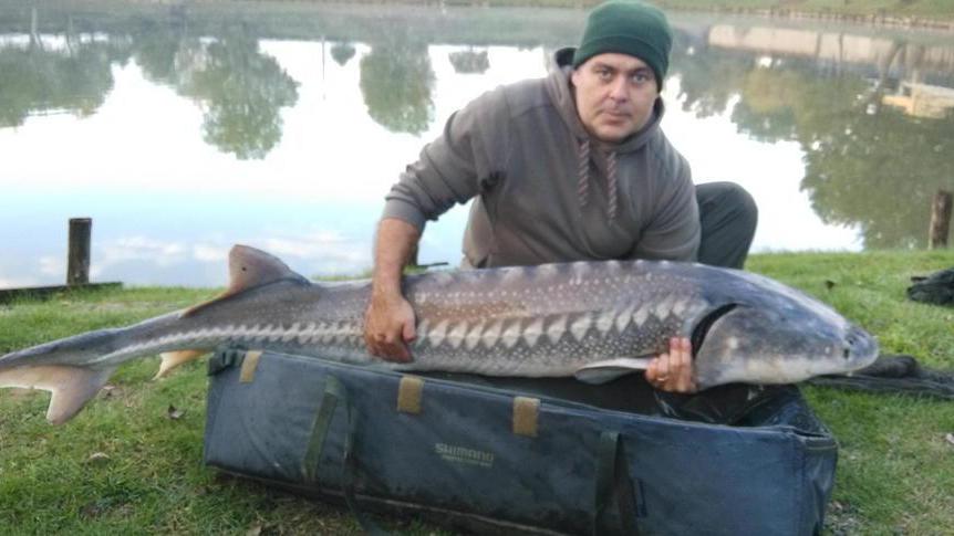 Catturato dopo mesi il pesce-record