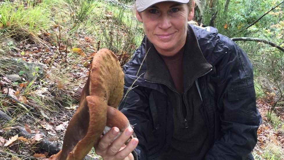 Cercatrice di funghi di Toano trova porcino di 2.350 grammi