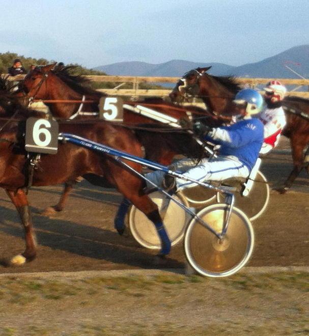 Un miglio per cinque anziani il clou all’ippodromo dei Pini 