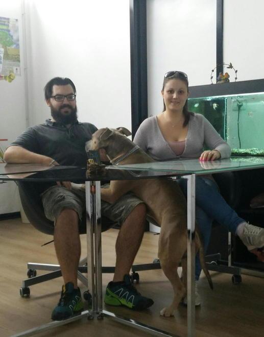 Apre a Ortonovo forno crematorio per cani e gatti 