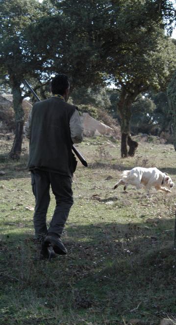 Un cacciatore in un'immagine d'archivio