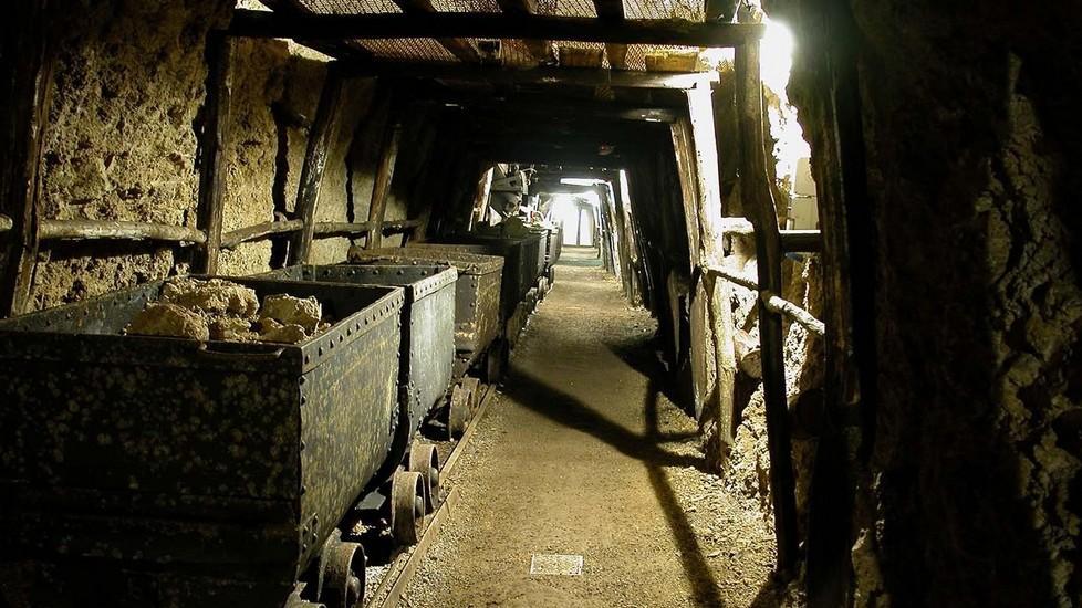 «Le bollette dei musei le paghino i gestori»