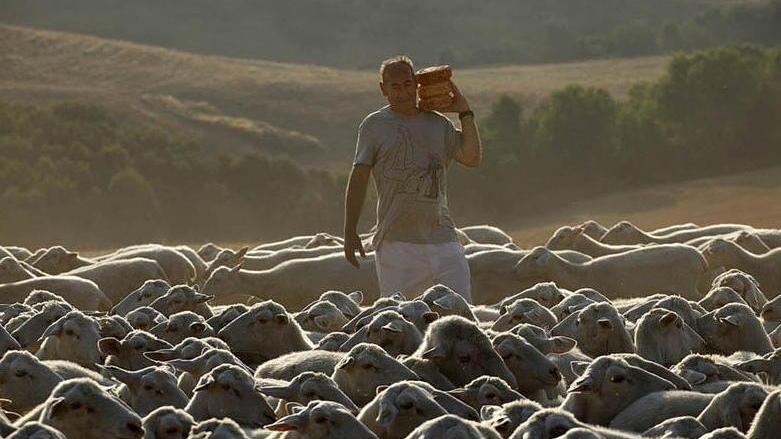 Le carcasse degli animali potranno essere sotterrate