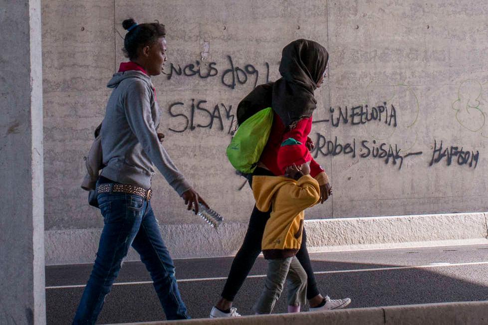 Migranti nella bisarca arrestato camionista 