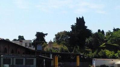 Peschiere aperte e degustazioni il 31 ottobre su prenotazione