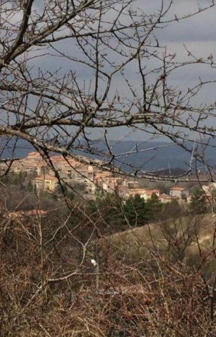 Un plebiscito per la scissione 