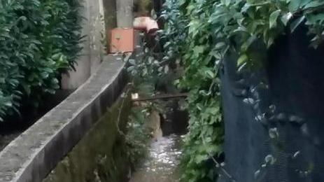 Una diga di rifiuti sopra il rio Ralla a Camigliano