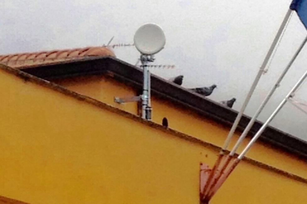 Allarme inquinamento per le antenne wi-fi 