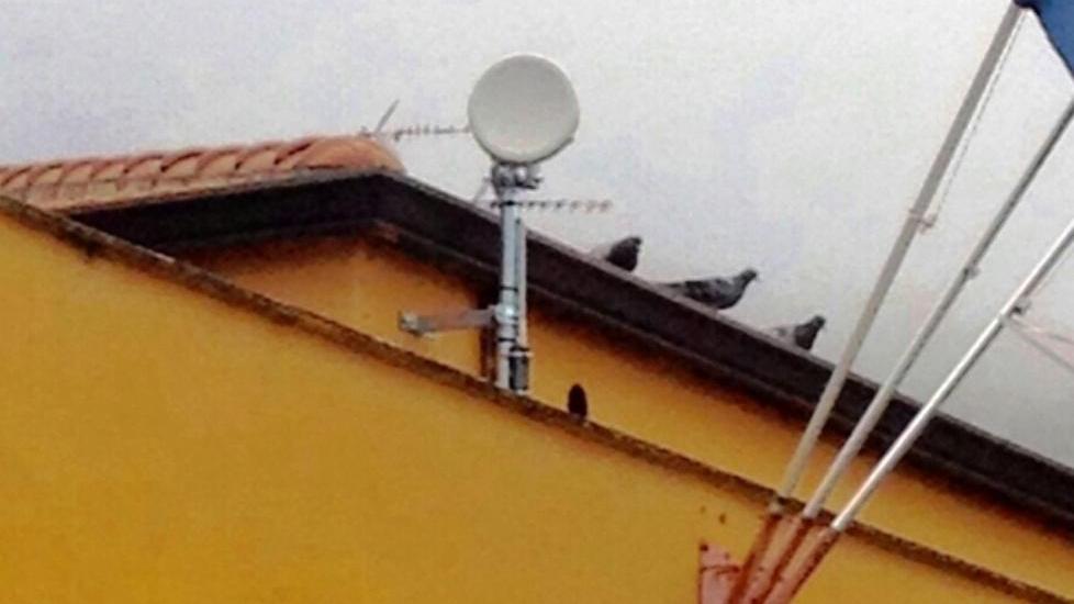 Allarme inquinamento per le antenne wi-fi