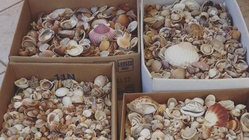 Sabbia, conchiglie e ciottoli recuperati dai turisti in transito e Elmas