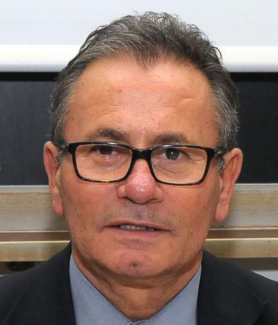 L’esperto: «Si tratta di sequenze sismiche dovute a strutture geologiche attive»
