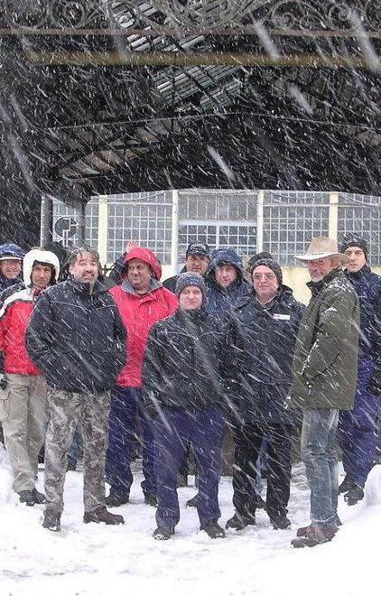I lavoratori Lime e la paura del salto nel buio 