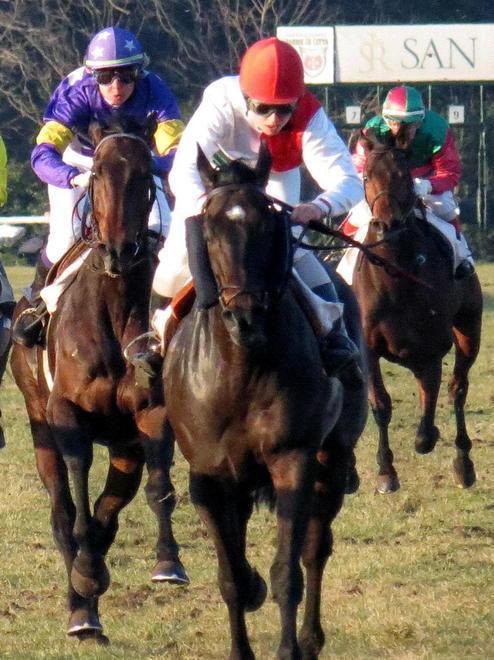 Criterium di Pisa fulcro del programma 