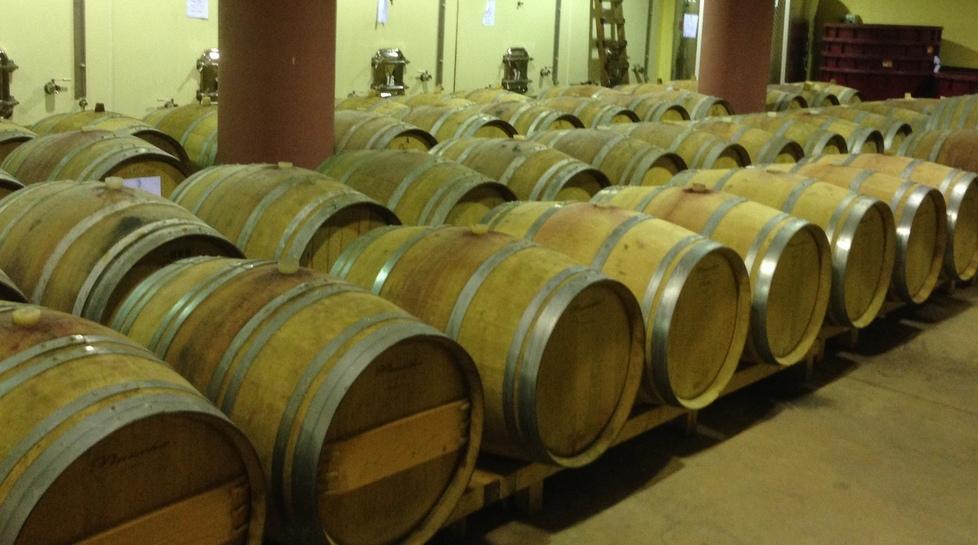 La guida “Gambero rosso” premia la cantina Sedilesu