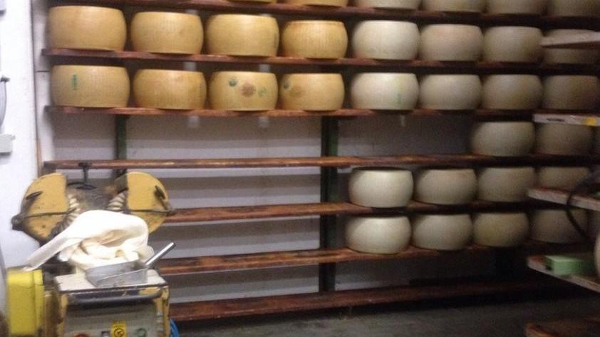 Assalto al caseificio Una banda in fuga con sessanta forme