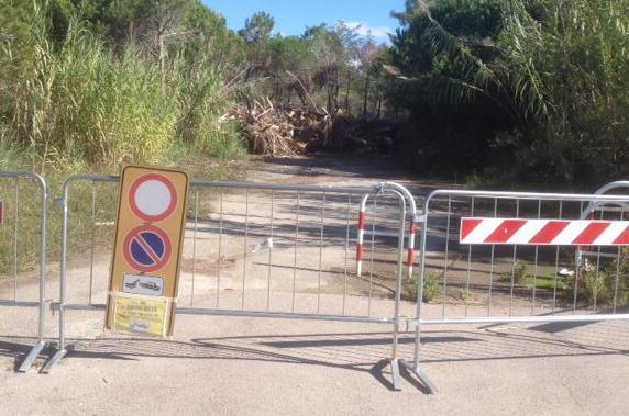 Tonnellate di legname in attesa d’essere smaltite 