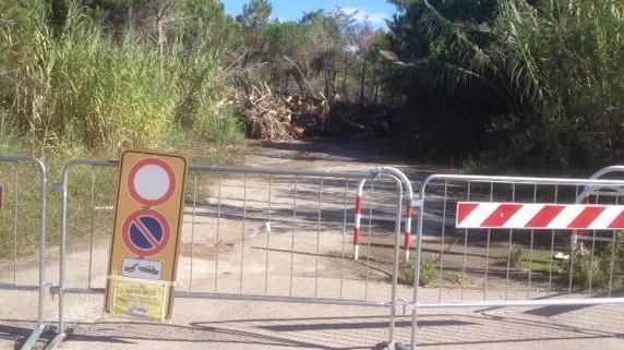 Tonnellate di legname in attesa d’essere smaltite