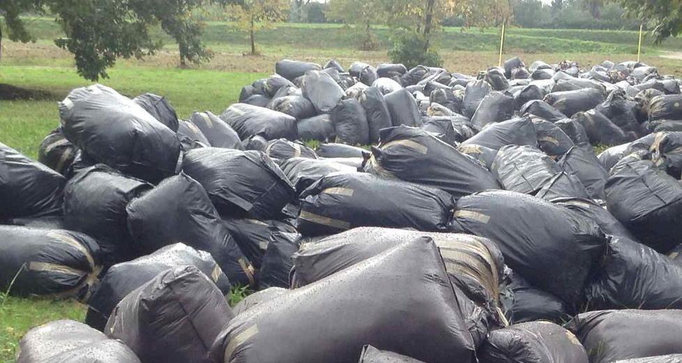 Una discarica abusiva di sacchi neri