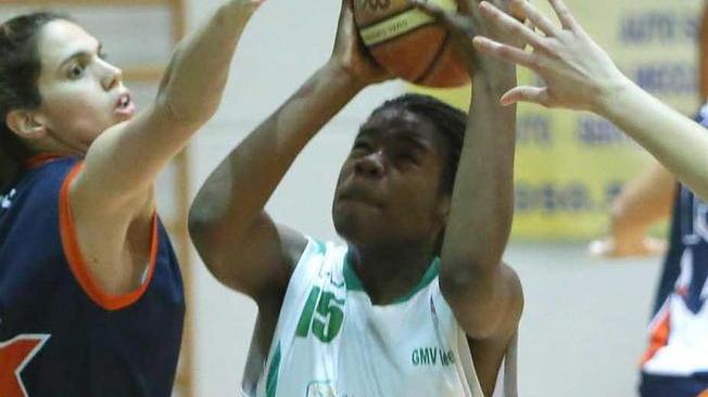 Basket: Gmv Ghezzano stasera a Livorno, gialloblù domani in casa