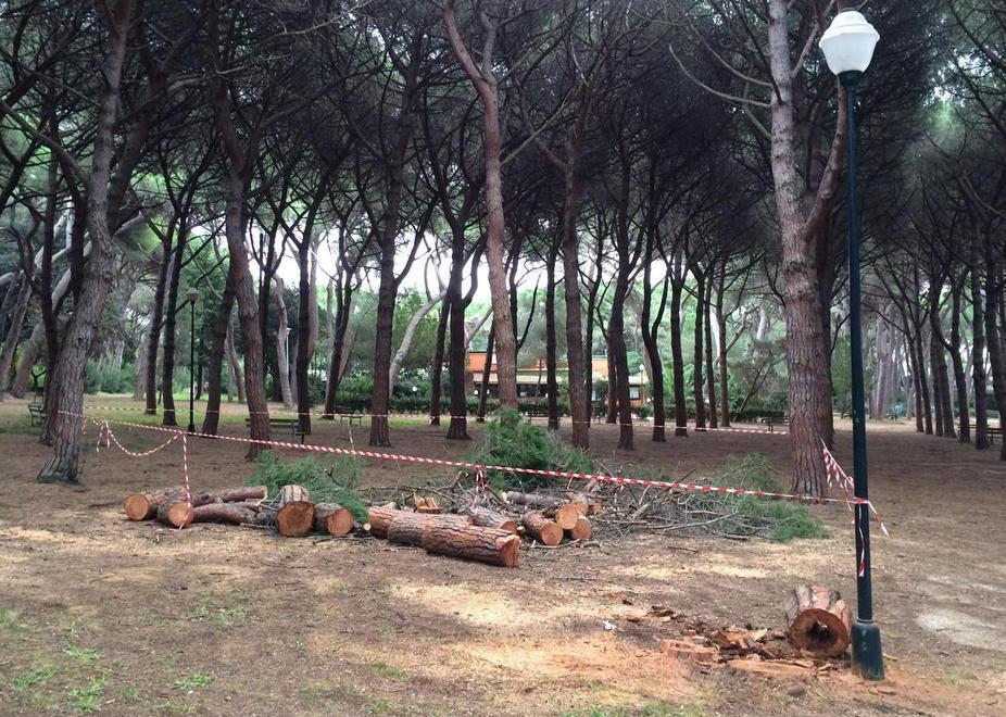 Nuove tubature del gas al via il cantiere in pineta 