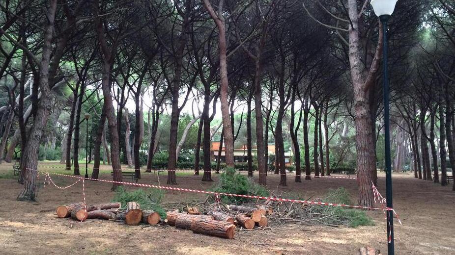 Nuove tubature del gas al via il cantiere in pineta