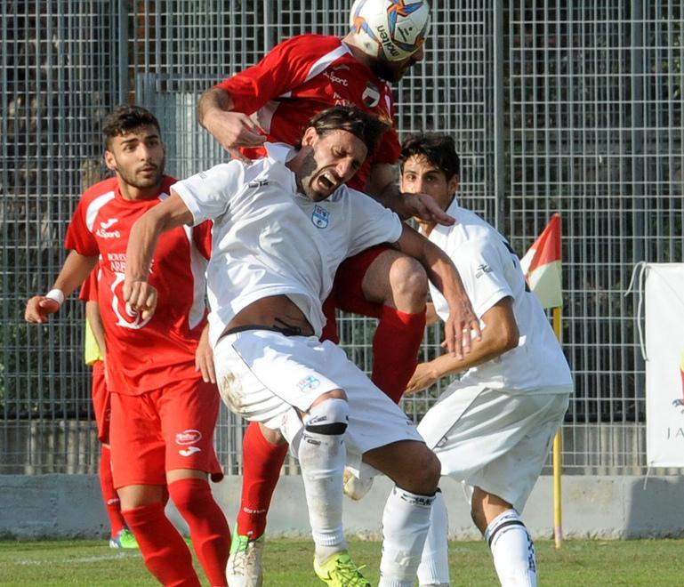 Olbia, chiarimento giocatori-mister 