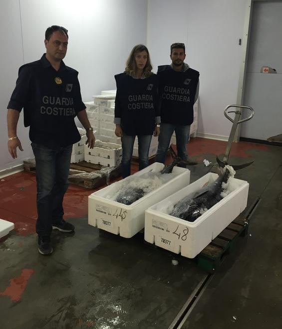 Blitz nei market e nei centri ittici sotto sequestro 800 chili di pesce 