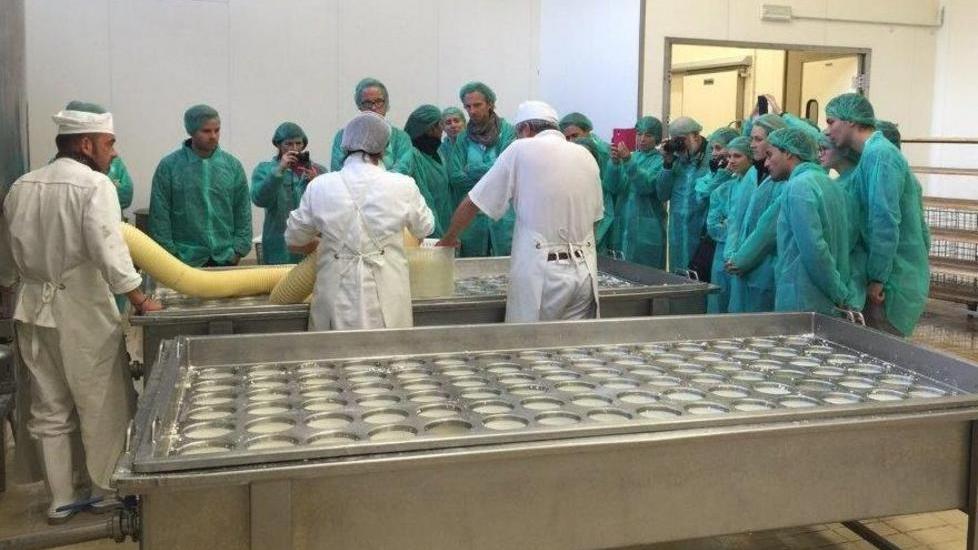 Studenti a lezione di pecorino Dop