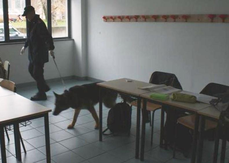 Cani antidroga nelle scuole: hashish in un sottoscala