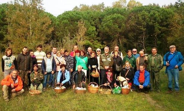 Bosco Spada, ecco la casa dei funghi