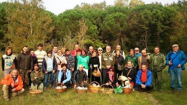Bosco Spada, ecco la casa dei funghi