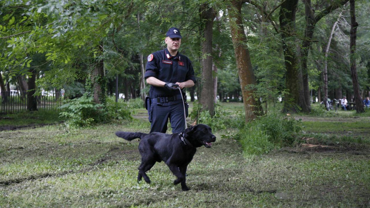 Controlli in pineta dei carabinieri con le unità cinofile (foto d'archivio)
