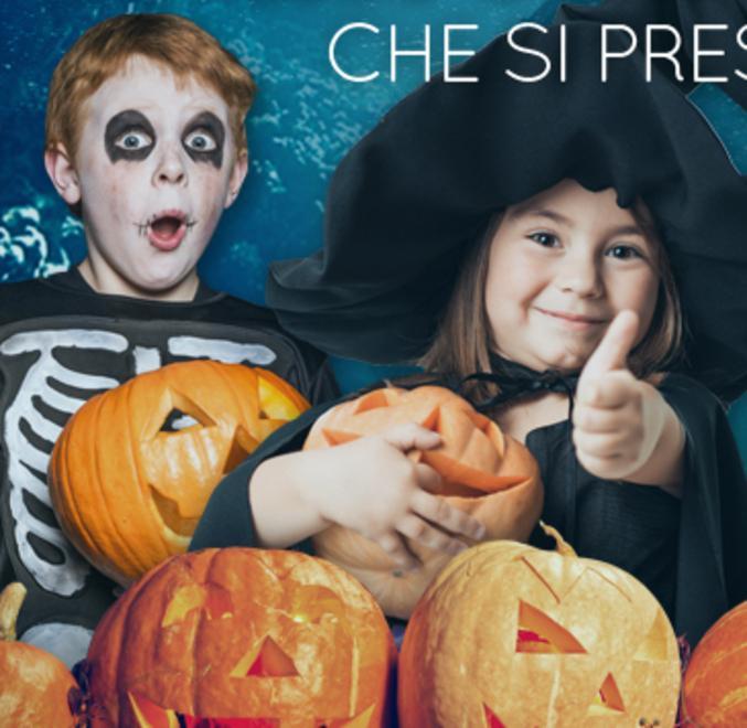 Acquario e museo la notte è da brividi per grandi e piccini 