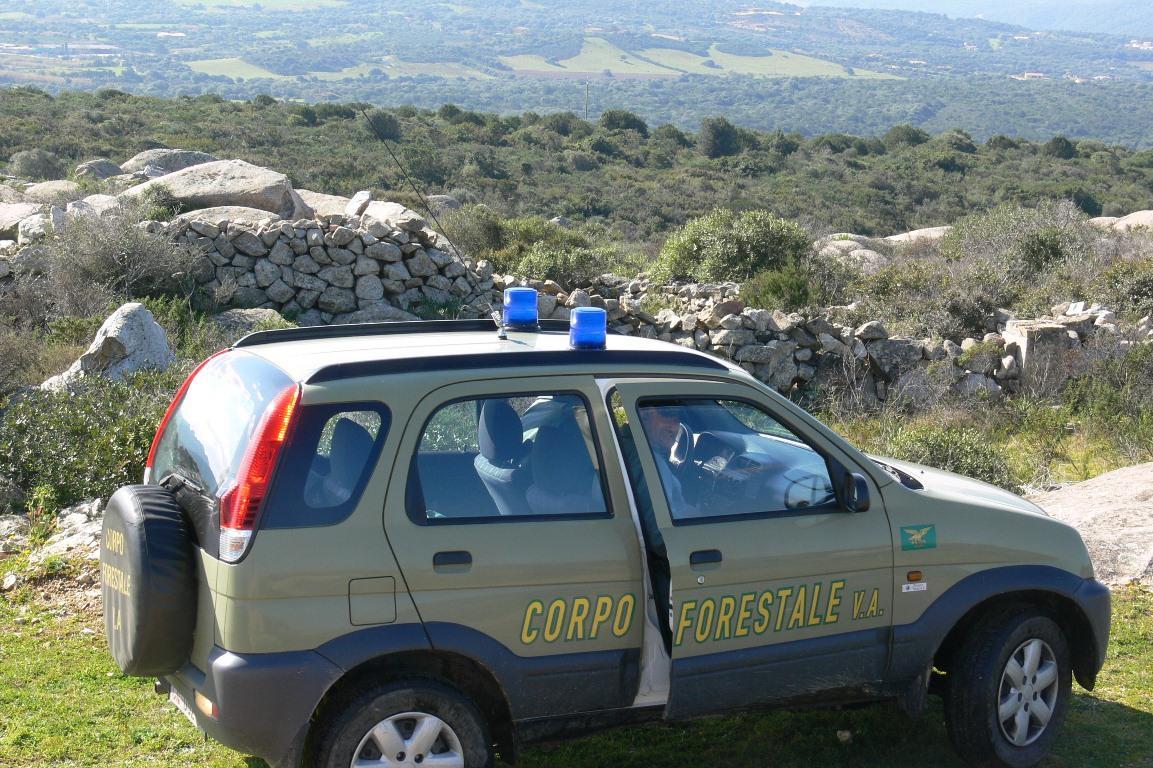 Al via il concorso per 78 agenti del Corpo forestale in Sardegna