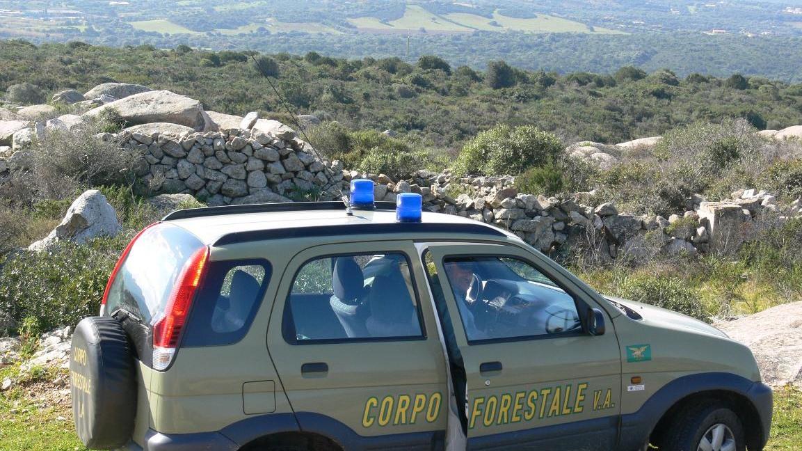 Al via il concorso per 78 agenti del Corpo forestale in Sardegna