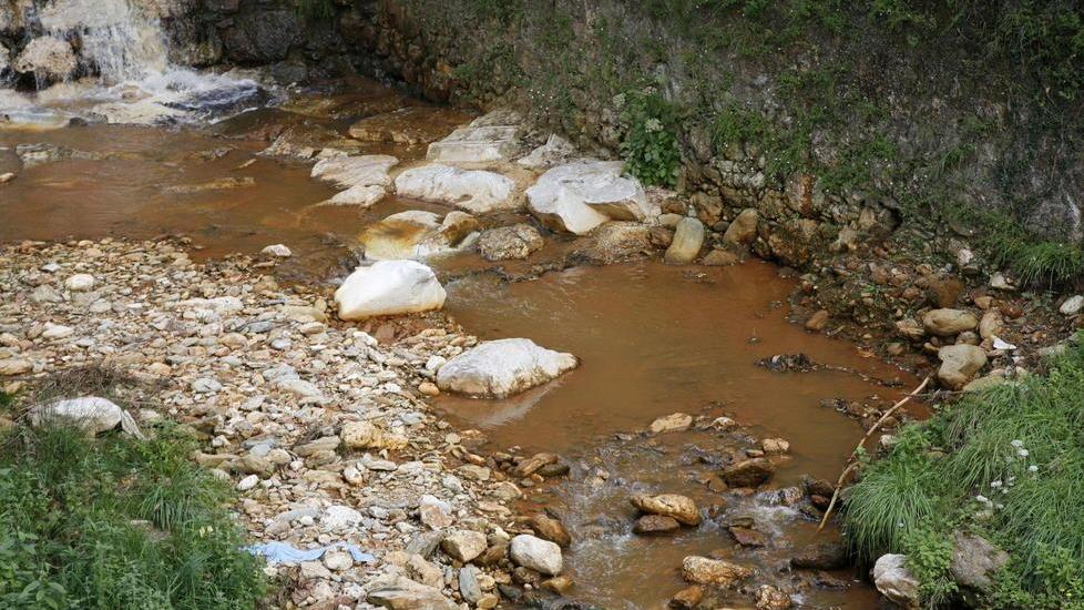 Analisi su verdura e pollame nelle zone inquinate dal tallio