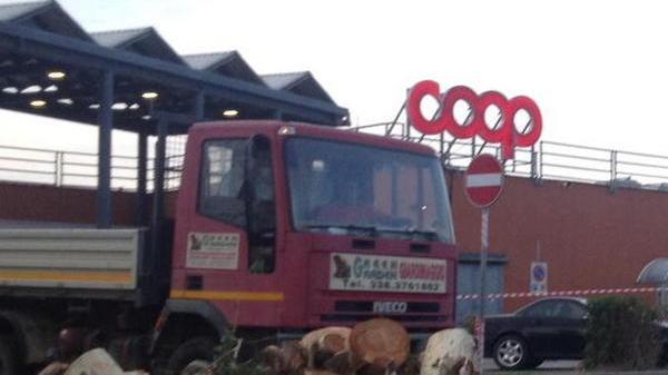 Alberi potati nel piazzale della Coop di Portoferraio