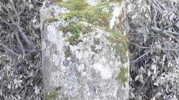 Pieve romanica, spariti i capitelli dal Monte Voltraio