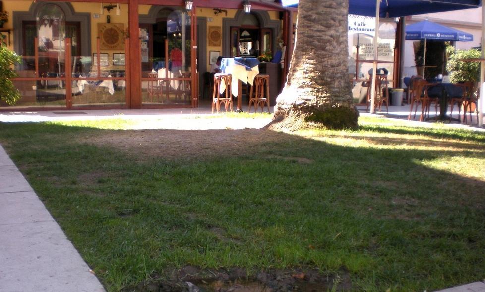 Acqua e fango nel verde della piazza