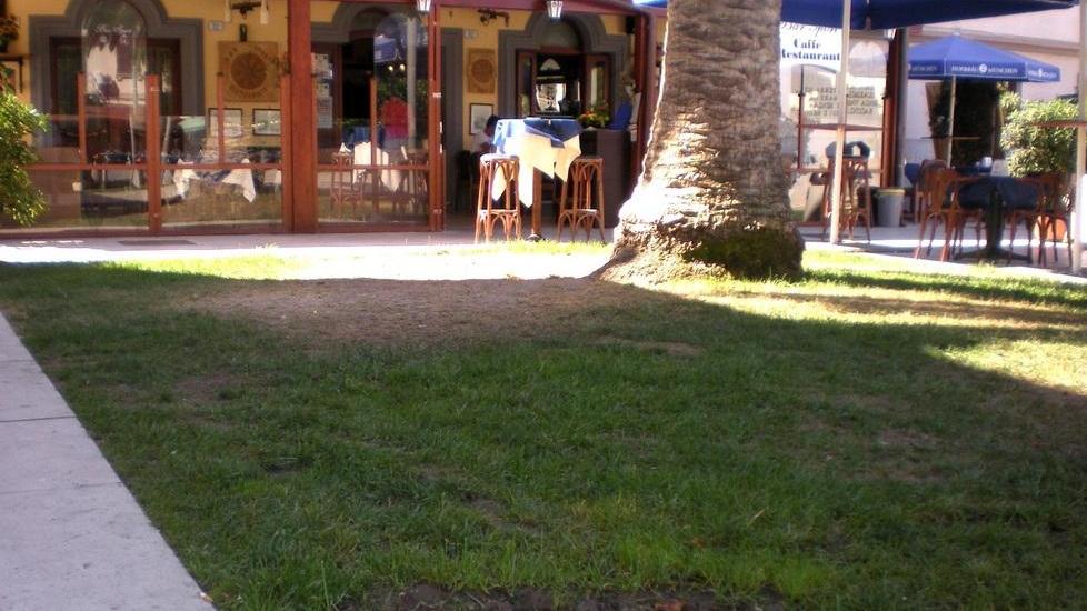 Acqua e fango nel verde della piazza