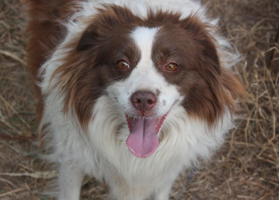 Tutta l’allegria della piccola Milly