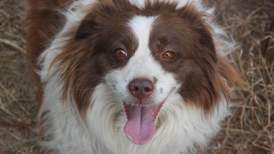 Tutta l’allegria della piccola Milly