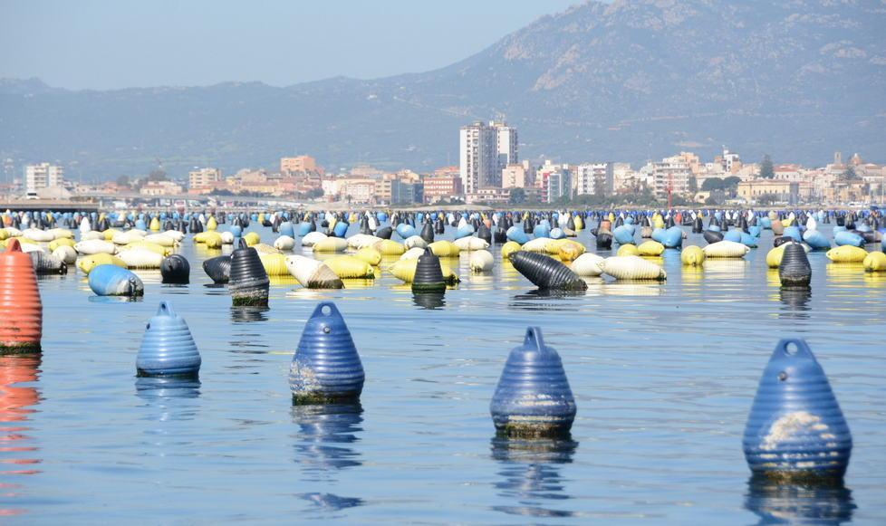 Cocciani, revocato il divieto di raccolta delle cozze