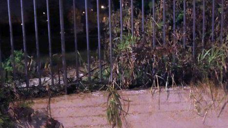 Trovato con gravi ferite in testa, è giallo