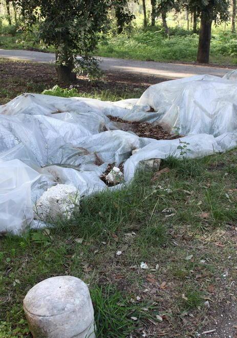 Sporco, degrado e maleducazione alla Versiliana 
