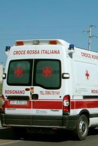 Punto da tre calabroni, rischia di morire nel bosco